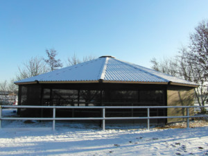 Lunging Ring Structure